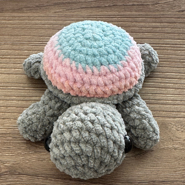 Mini Turtle