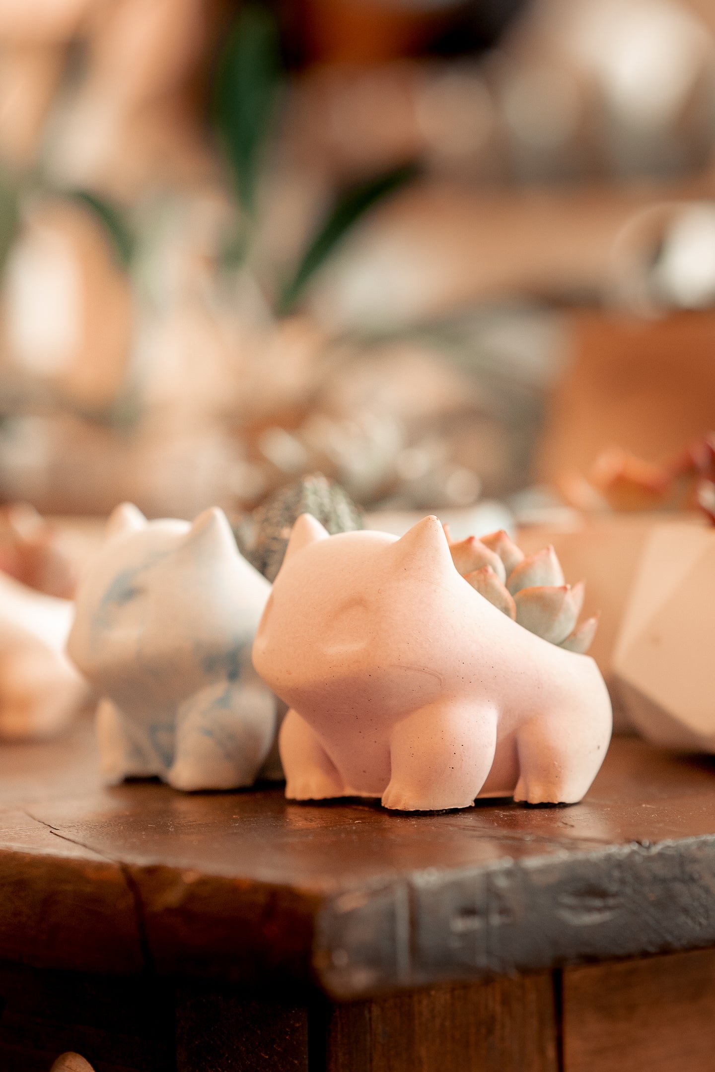 bulbasaur succulent planter Bulba Planters