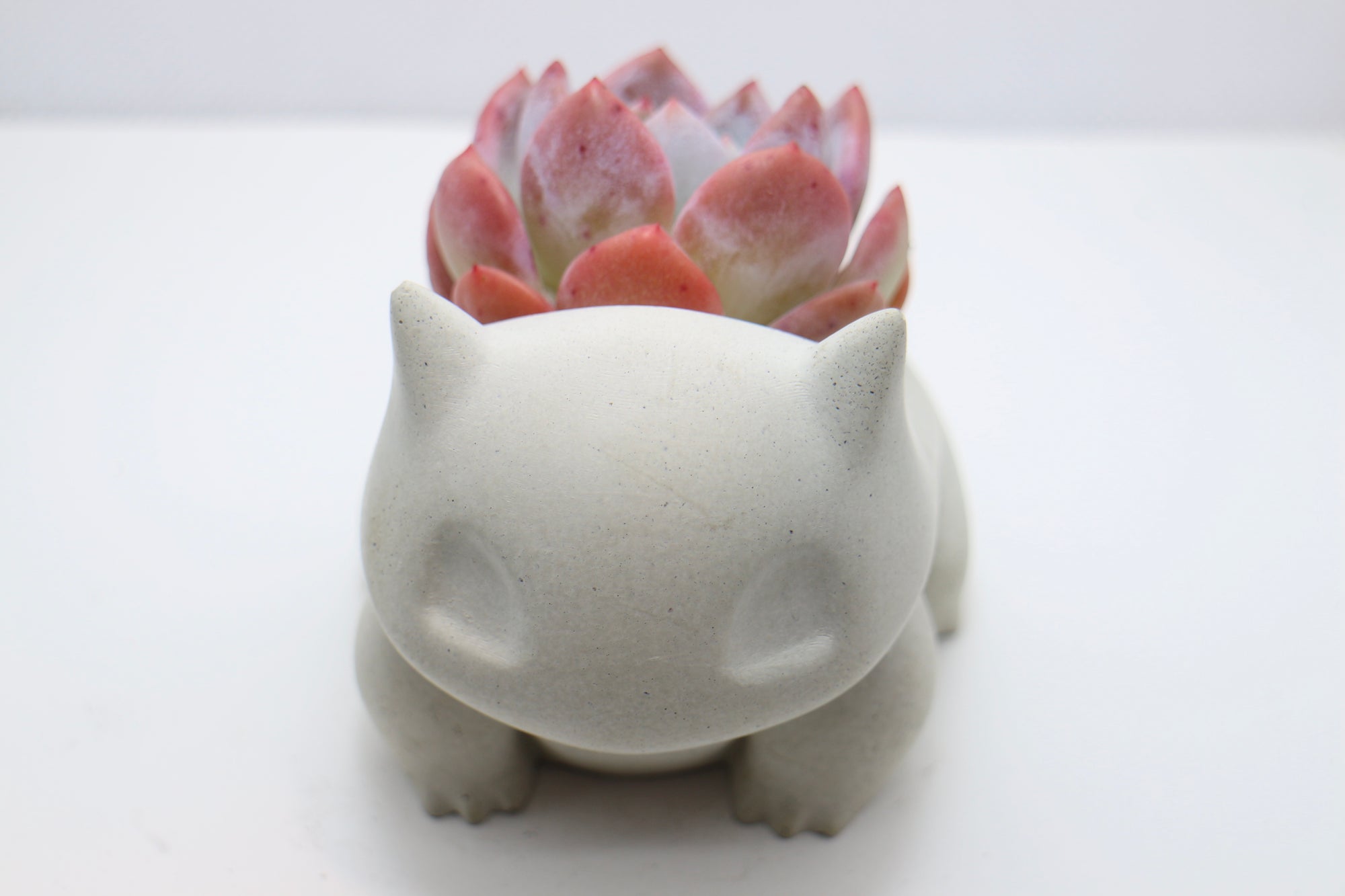 Bulba Planters