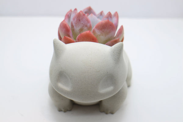 Bulba Planters