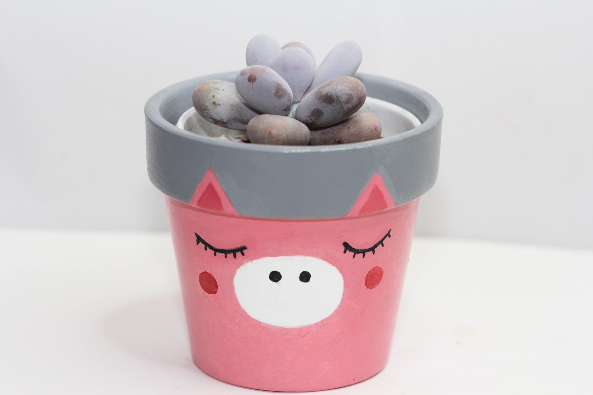 Hand Painted Animal Planter