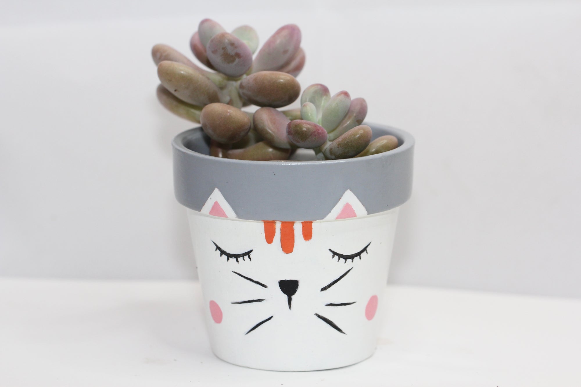 Hand Painted Animal Planter