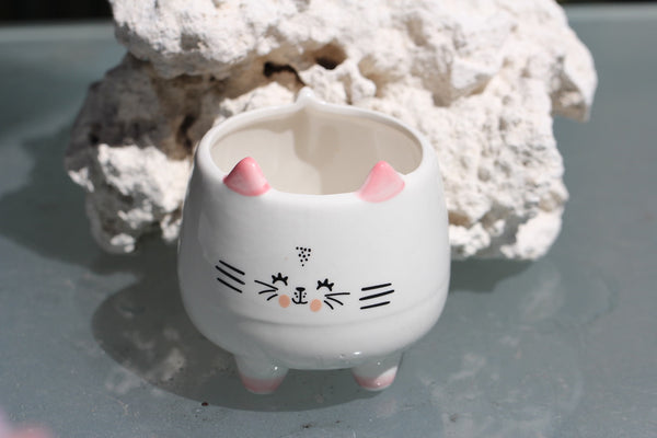 Animal Planters