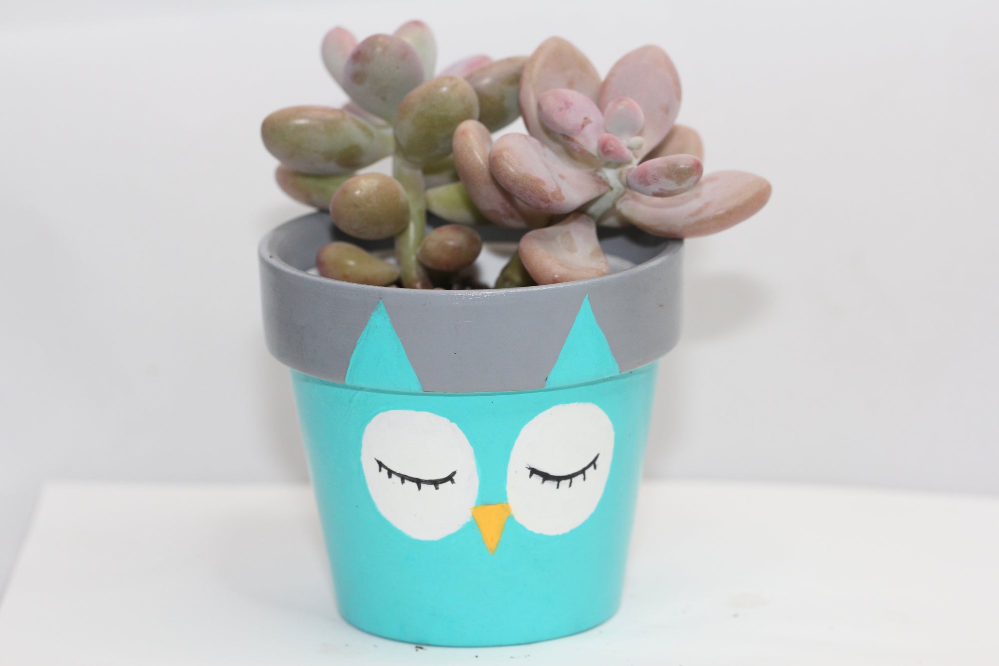 Hand Painted Animal Planter