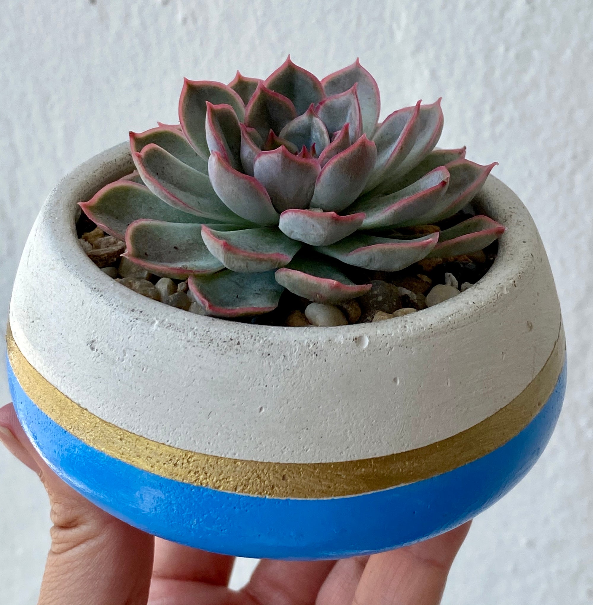Round Concrete Planter